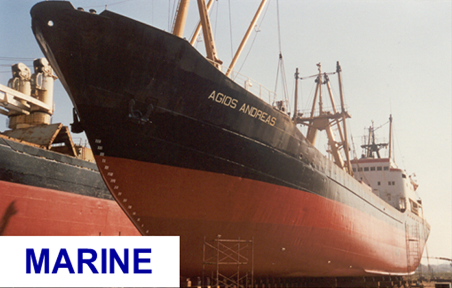 Large ship with marine coatings